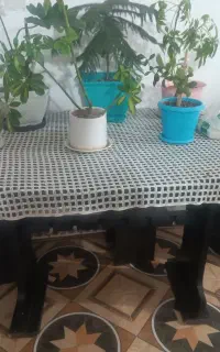 میز ناهار خوری