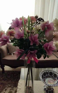گل خارجی به همراه گلدان شمشاد زیبا