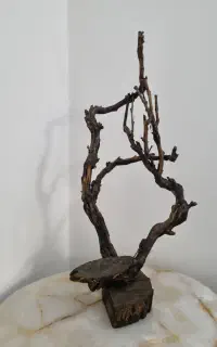 دکور درخت