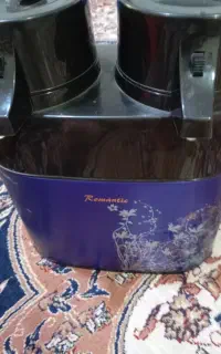 فلاکس دوقلو