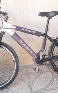 ویوا