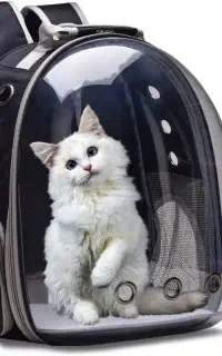 پت شاپ رجبی