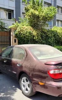 ماکسیما تحویل 92صفر خشک