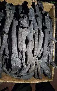 پخش ذغال سیگار تنباکو