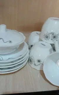 ظروف پذیرایی
