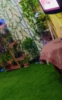 چمن مصنوعی