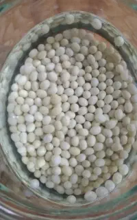 خاویار حلزون