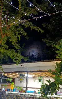 واگذاری رهن اجاره باغ رستوران