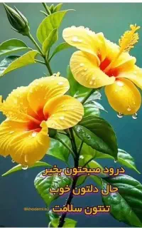 فروش خط روند همراه اول