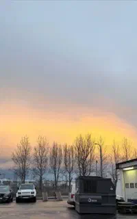 خدمات نظافت