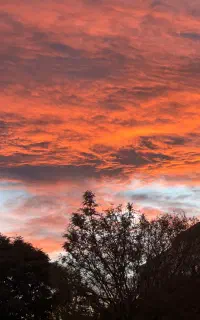 اموزش تولید محتوا و رشد پیج