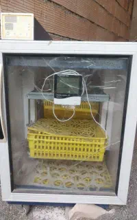 دستگاه جوجه کشی بلدرچین دماوند قیمت مناسب