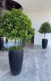 کارگر ساده