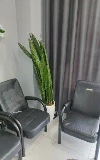 اخذ جواز کسب