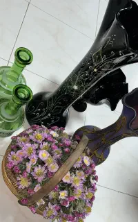 چند تا گلدان نو