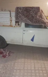 خودرووانت پیگان