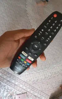 تلویزیون
