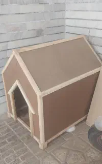 سگ نژاد اشپیتز