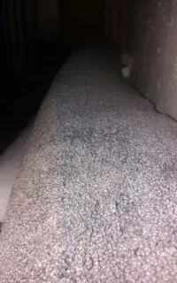 موکت پرزدار