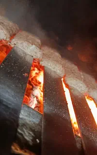 شاطر