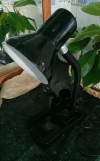 چراغ مطالعه