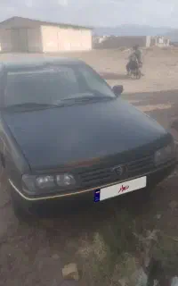 پژو405
