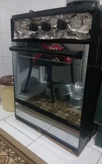 گاز چهارشعله