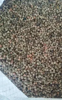 گاودانه تمیز
