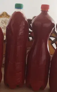 رب خانگی وارگانیک