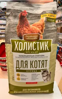 غذای سگ و گربه