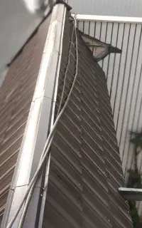 مهارت وپیشه