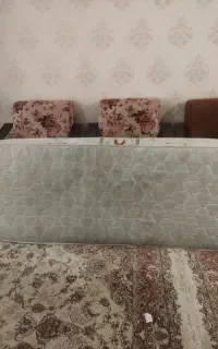 تشک نوجوان کارکرده سالم