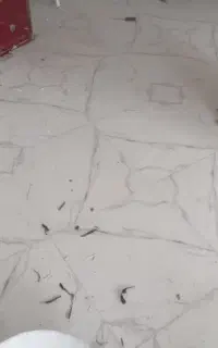 کاشی وسرامیک کاری وموزائیک واش بتن