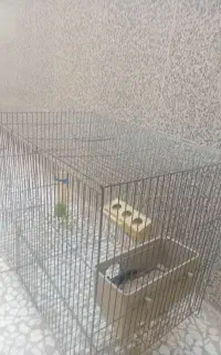 قفس پرند