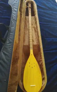تنبور پاشنه ای
