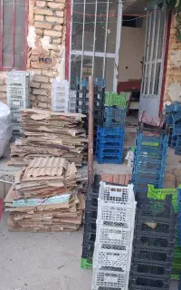 سبد تک رج