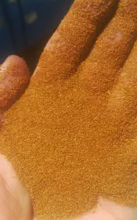 خاکشیر دس چین