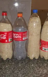 بذر گوجه ای
