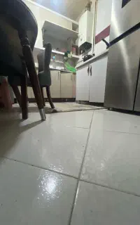 خانوم‌جهت نظافت