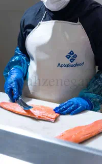 فروش عمده قزل آلا