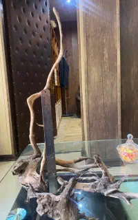چوب آبنوس