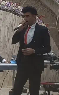 ارکس مجالس