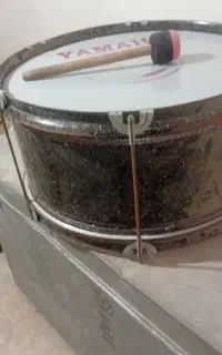دهل متوسط سالم