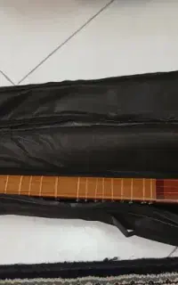 سه تار حرفه ای/کاملا سالم/همراه کتاب آموزشی
