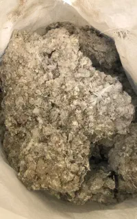 کود کبوتر