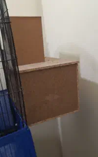 لونه پرنده