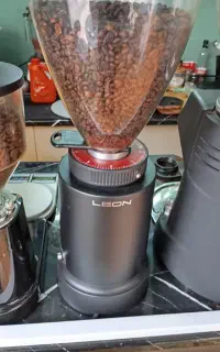 اسیاب لئون leon