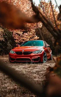 برای رفع مشکل ما/لی خود تماس بگیرید