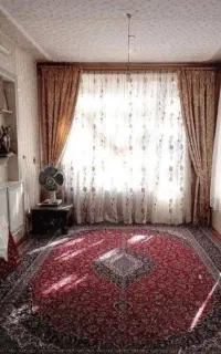 خانم جهت انجام امورات منزل