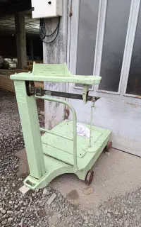 عکس گویای همه چیه